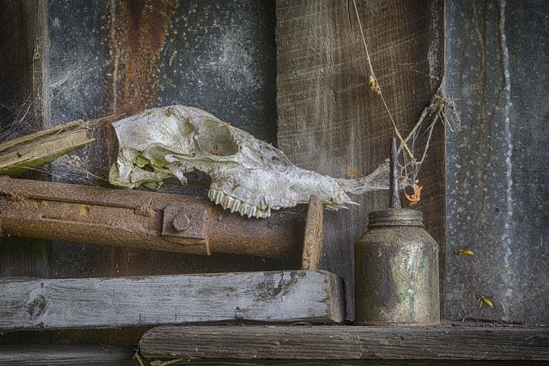 Kuerner Farm-2368_HDR-Edit