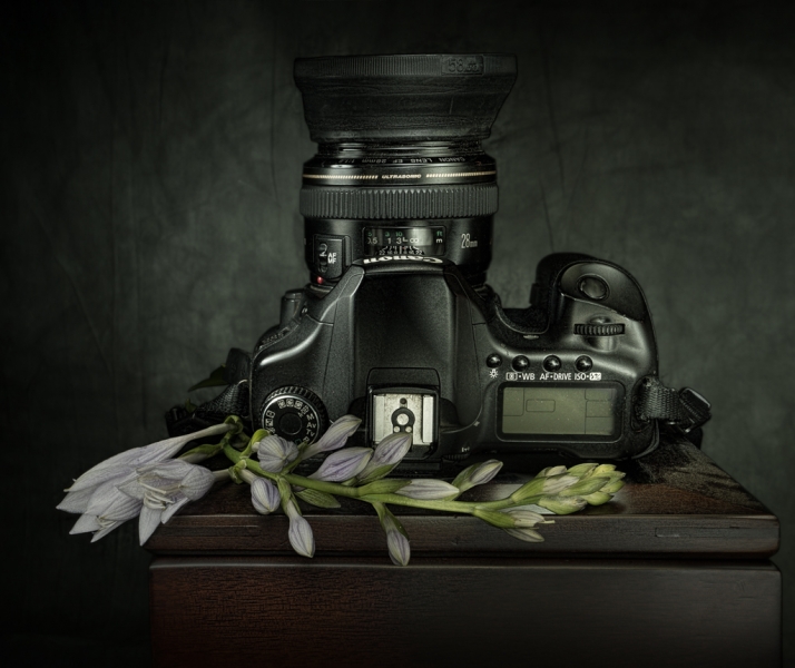 RIP canon 40D-