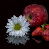 apple and flower-4766_HDR-633