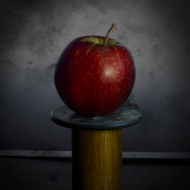 harvest cups-036-Edit