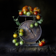 scale-still-life-180-Edit