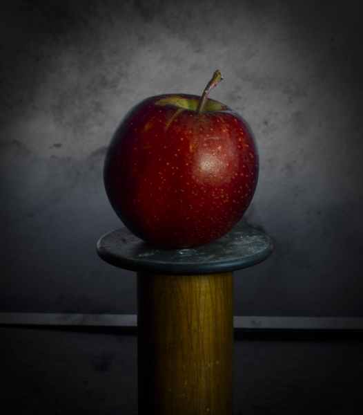 harvest cups-036-Edit