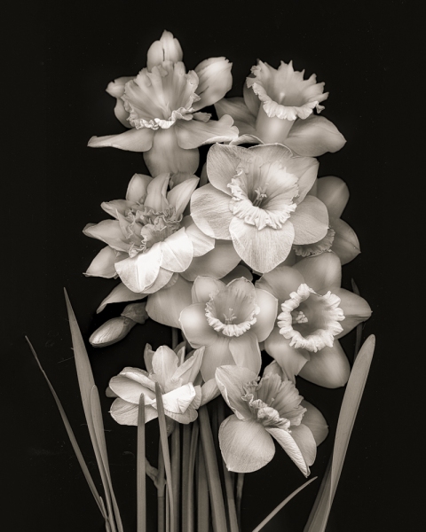 untitled-0015-Edit