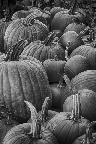 untitled-5228_HDR-Edit-Edit