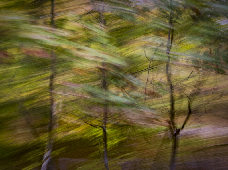 DSC9607-Edit