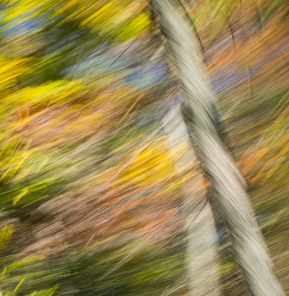 Valley-Forge-motion-blur-