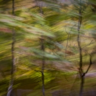 DSC9607-Edit