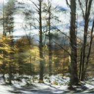 untitled-8407