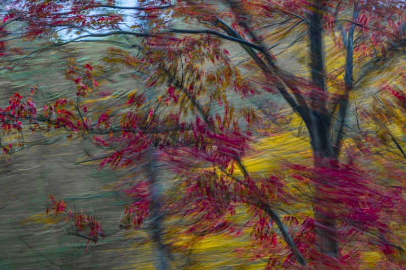 untitled-01047