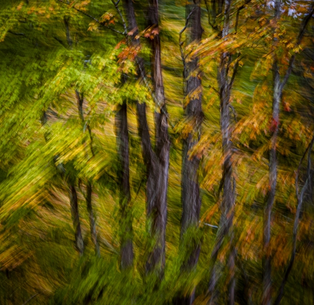 untitled-01147