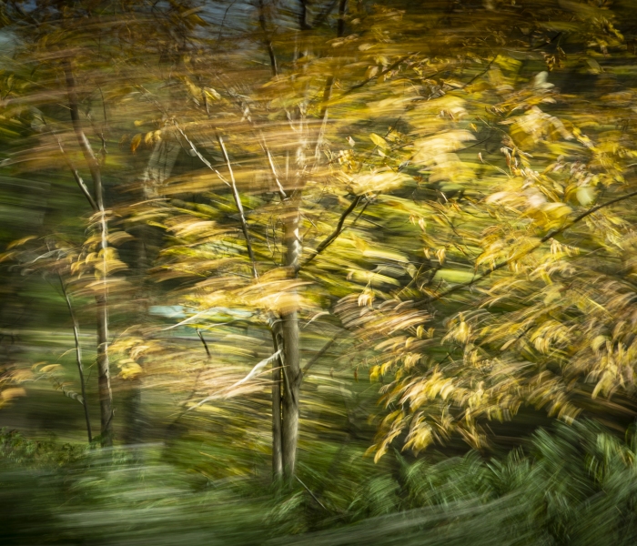 untitled-02260