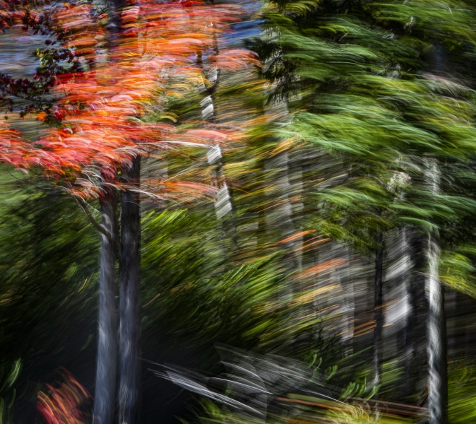 untitled-03957