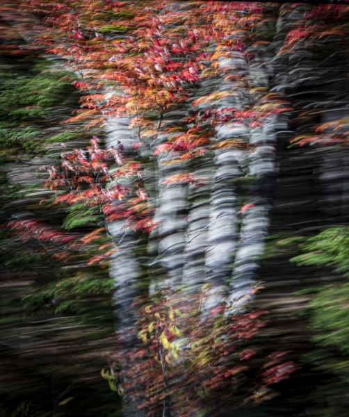 untitled-05215
