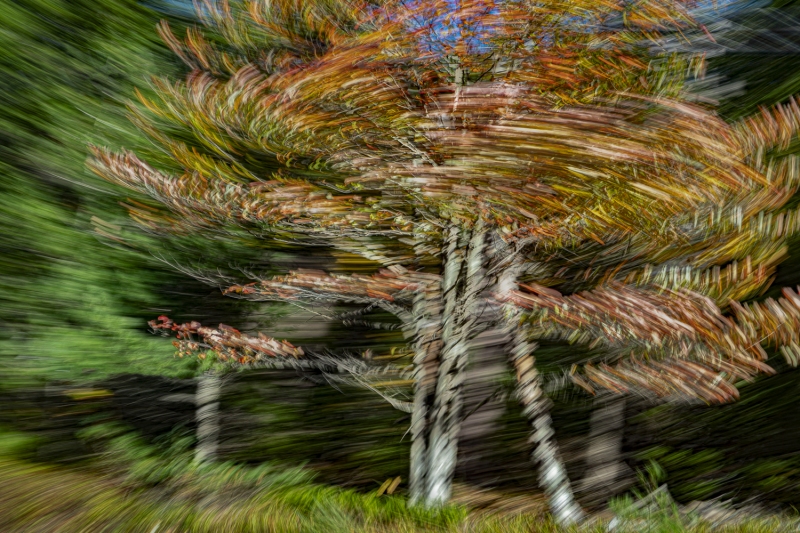 untitled-07170-Edit