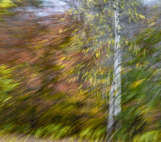 untitled-08994