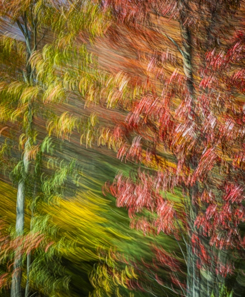 untitled-09472
