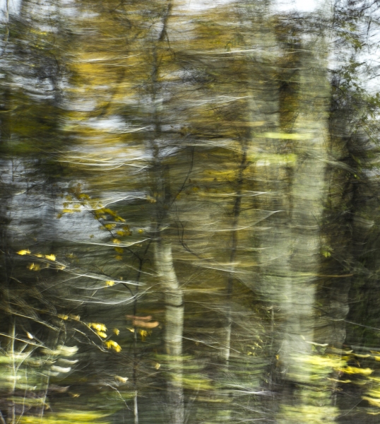 untitled-7943