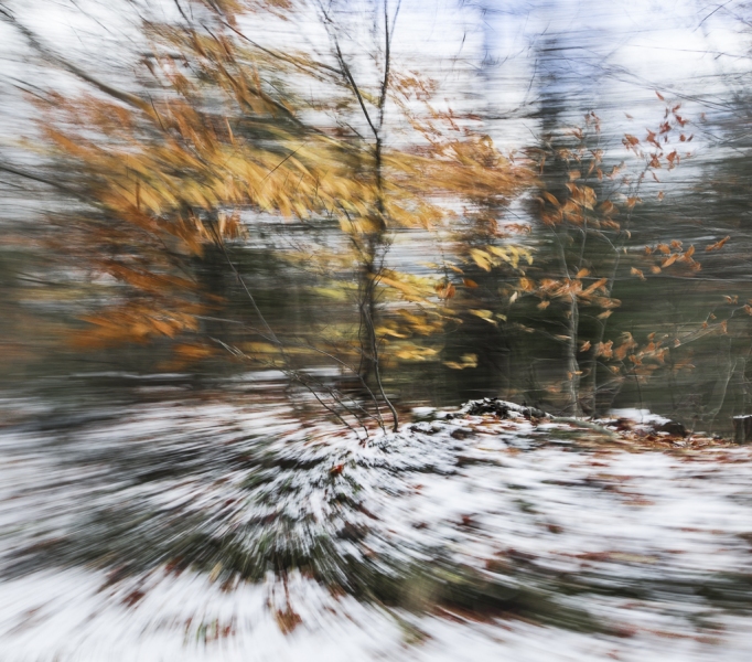 untitled-8417