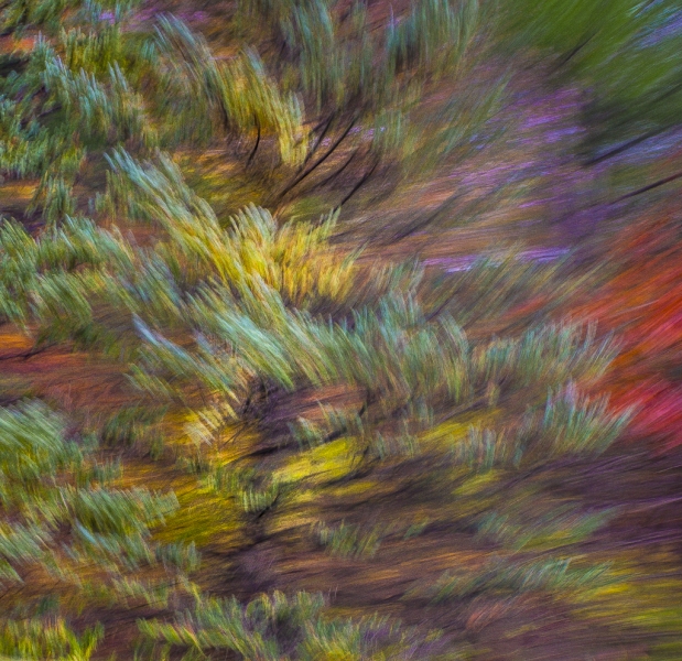 untitled-8492