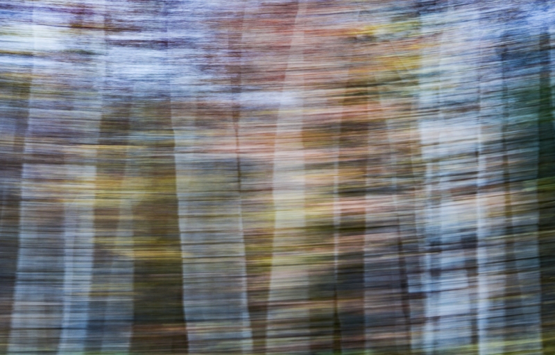 untitled-8494