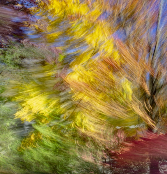 untitled-9555