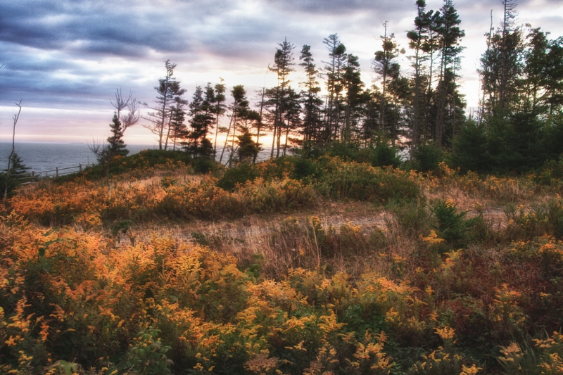 nova-scotia-4798_hdr-edit