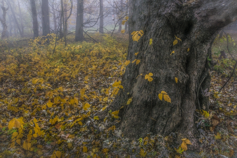 _DSC9583-2275