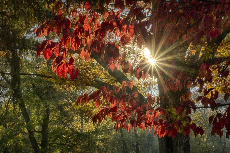 _DSC9704_HDR