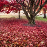 valley-forge-0478_hdr-edit