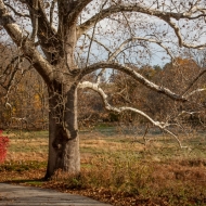 valley-forge-0494-edit