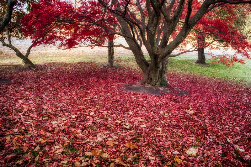 valley-forge-0478_hdr-edit