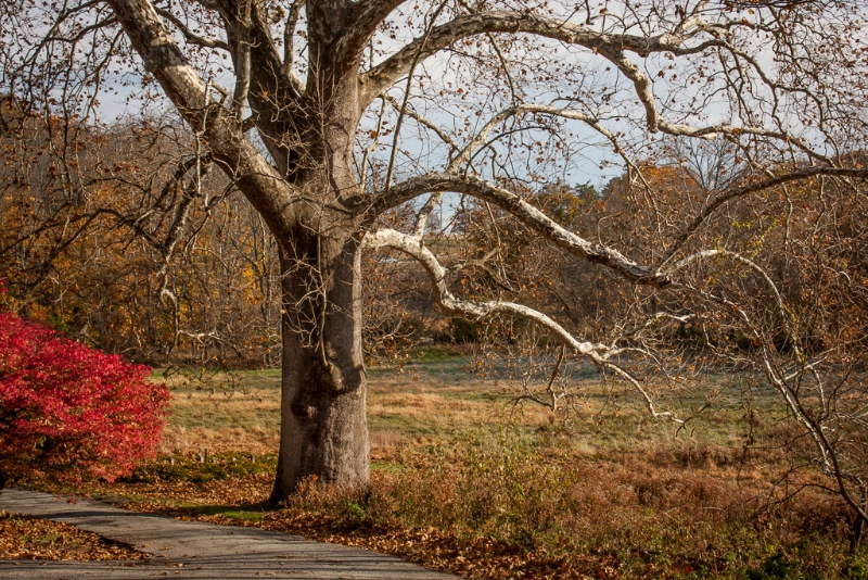valley-forge-0494-edit
