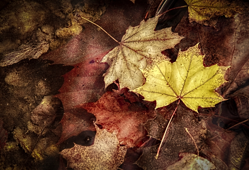 valley-forge-0766_hdr-edit