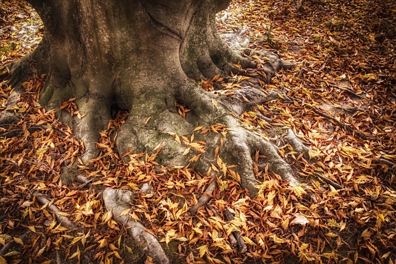 valley-forge-0778_hdr-edit-edit