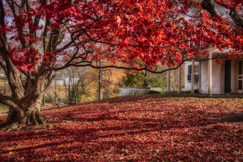 valley-forge-0790_hdr-edit