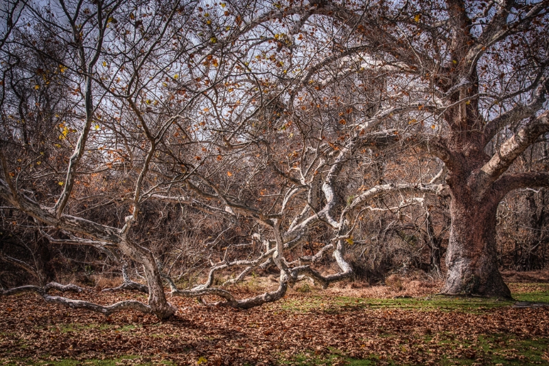valley-forge-0820_hdr-edit-edit