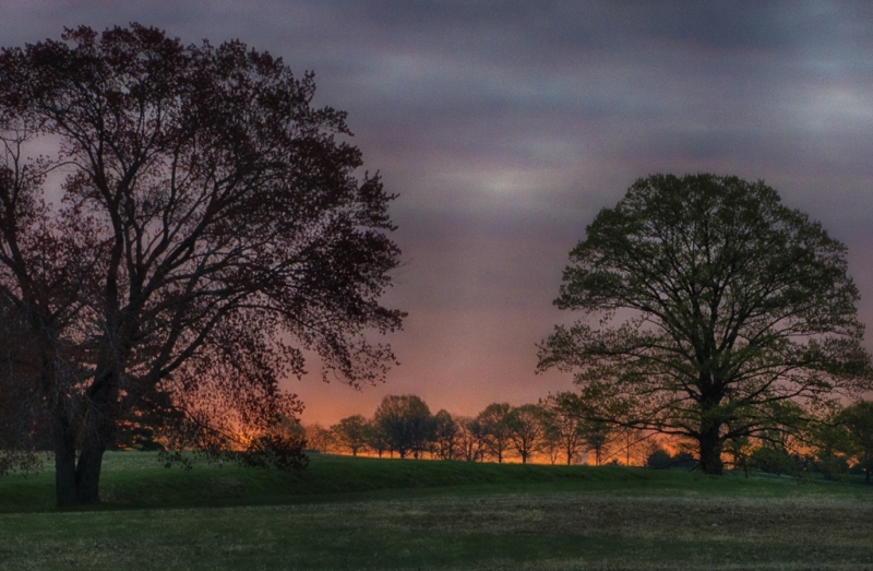 Valley Forge-984