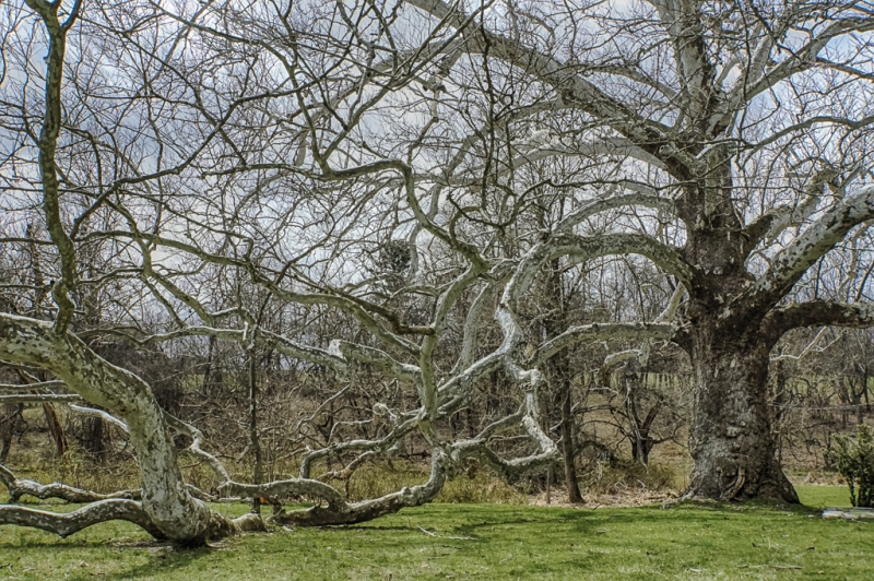 untitled-6375_HDR