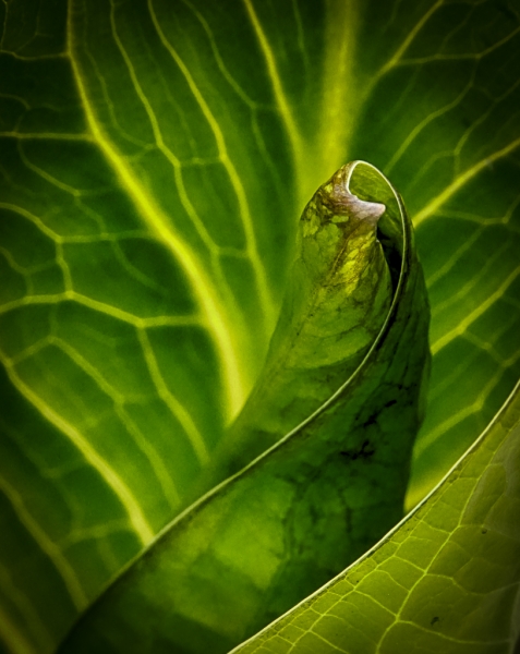 untitled-6405_HDR