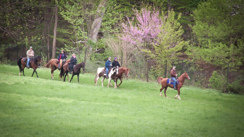 valley-forge-4366