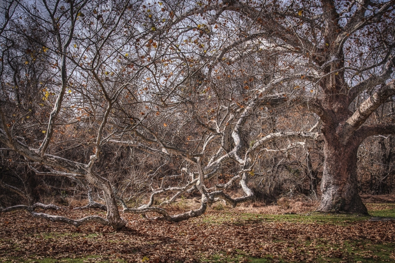 Valley Forge-0820_HDR-Edit-Edit