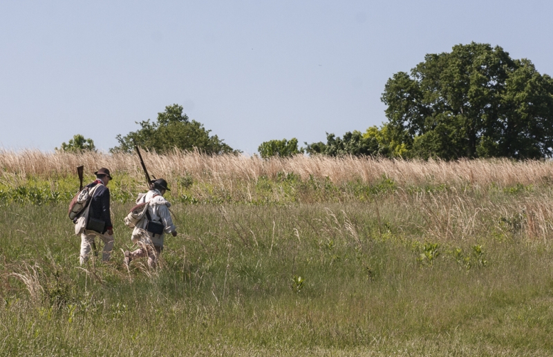 Valley Forge bugs-12