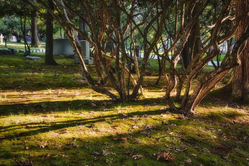 valley-forge-1194_hdr-edit