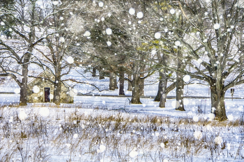 _DSC6992_HDR-Edit