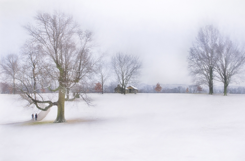 _DSC7554_HDR-2888