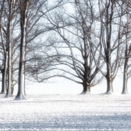 valley-forge-020913-104_hdr-edit-edit