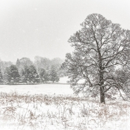 valley-forge-032513-7070_hdr-edit