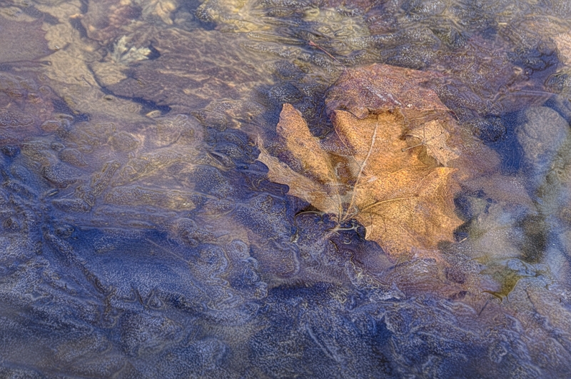 untitled-5132_HDR-Edit