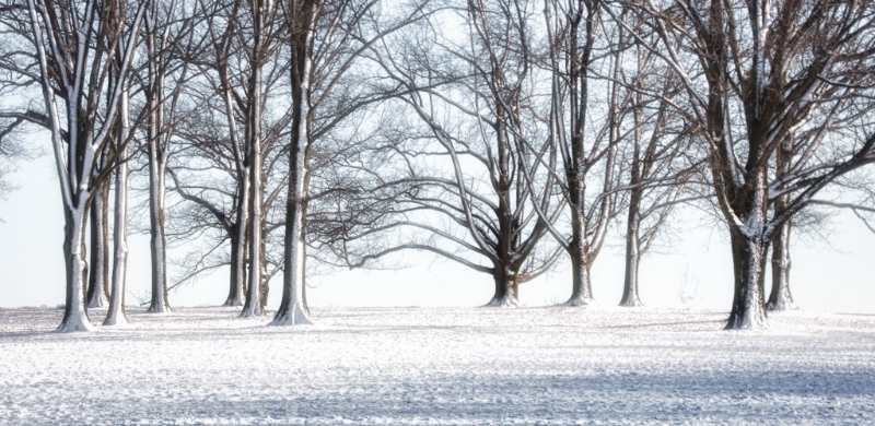 valley-forge-020913-104_hdr-edit-edit