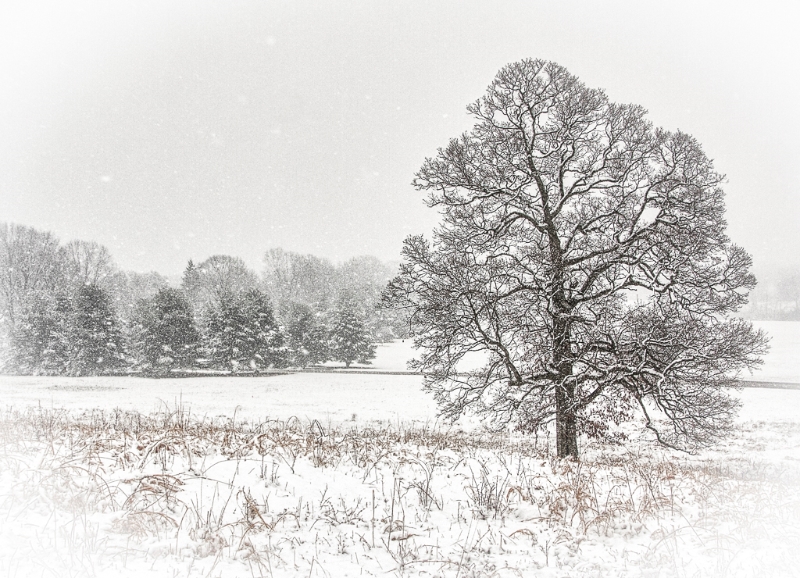 valley-forge-032513-7070_hdr-edit